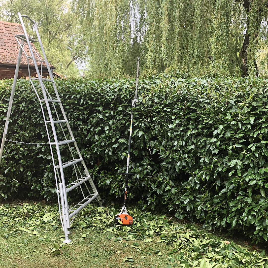 hedge-cutting-trimming-gabris-gardening